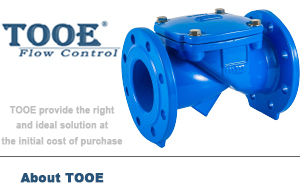 橡膠瓣止回閥 橡膠瓣止回閥