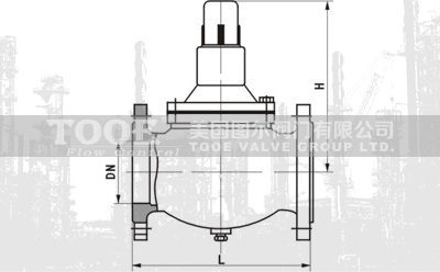 直接作用式減壓閥結構尺寸CAD圖紙 直接作用式減壓閥結構尺寸CAD圖紙