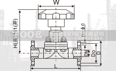 活套法蘭高真空隔膜閥 活套法蘭高真空隔膜閥